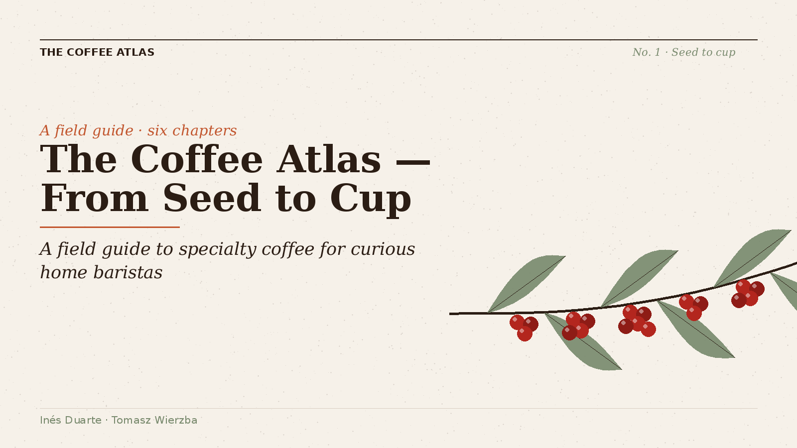 The Coffee Atlas — From Seed to Cup